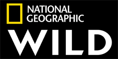 Natgw logo