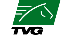 Tvg2 logo